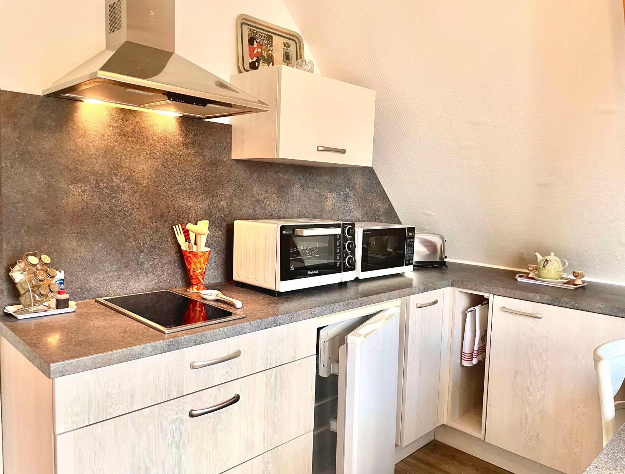 Le Papillon,Logement Cosy En Alsace Erstein Exterior foto
